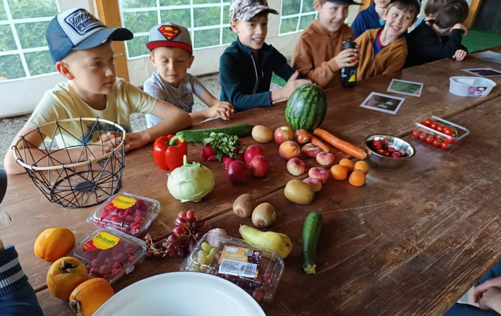 Wo wächst unser Obst und Gemüse?