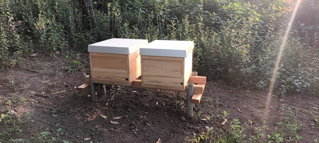 Arbeiten am Bienenlehrpfad – Teil 2